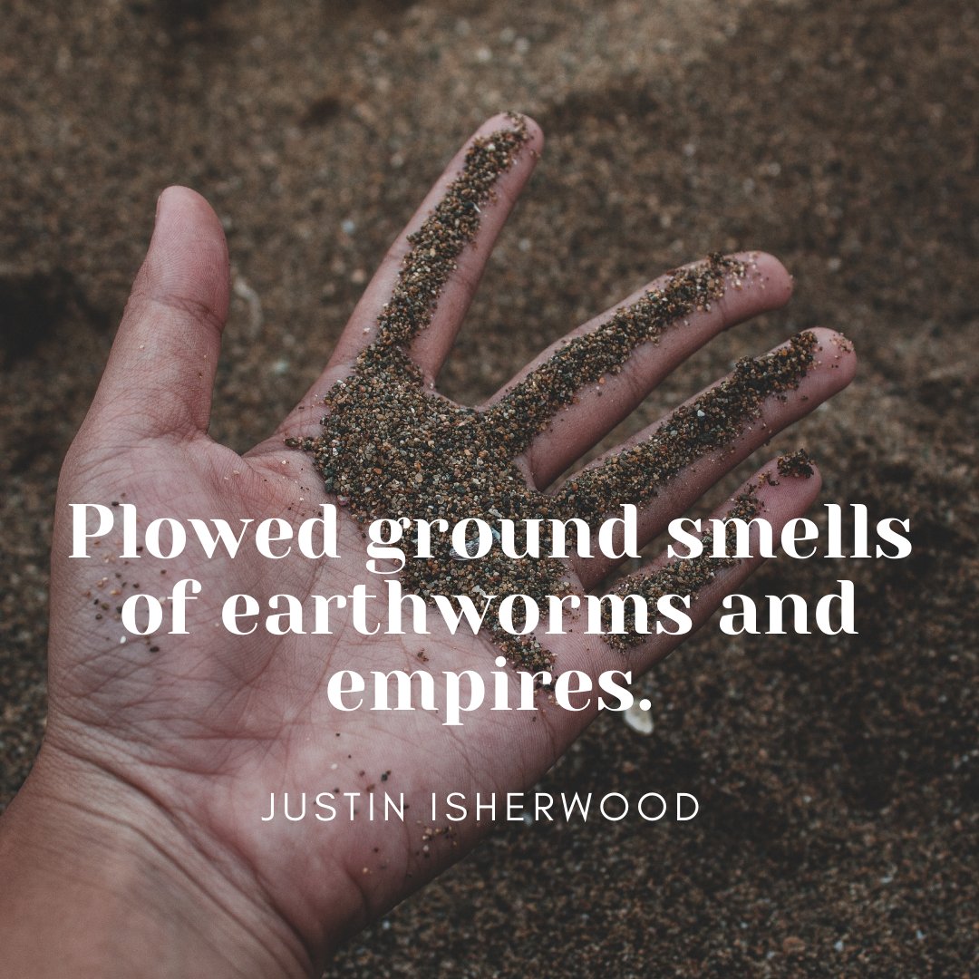 peat_free's tweet photo. Today's thoughts on soil π±ππβ
β
#soil #growing #gardening #healthysoil #soilhacks #gardeninghacks #farminghacks #soillife #soilmicrobiology #soilfoodweb #soilbiology #bettersoil #DIYgardening #soilconditioning #plants #permaculture #organic #organicgrowing #organicgardening https://t.co/8SMPWNRf8B