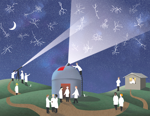 ✨🔬 #OpenScope: A shared observatory for #neuroscience — is now accepting experimental proposals from external scientists. #openscience 

• Letter of Intent Due: 9/22 
• Proposal Due: 11/22

Visit: alleninstitute.org/what-we-do/bra…