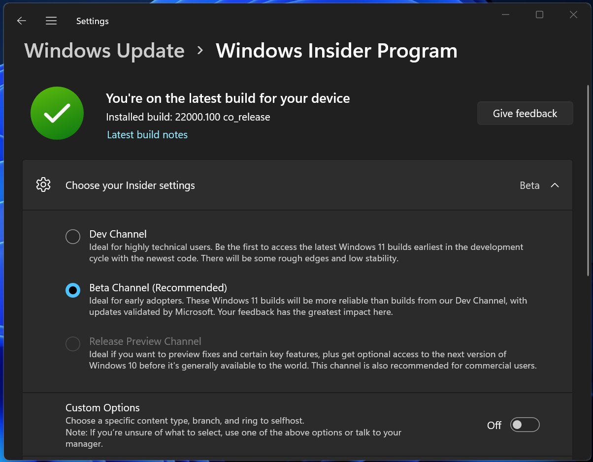 The Windows Insider Program
