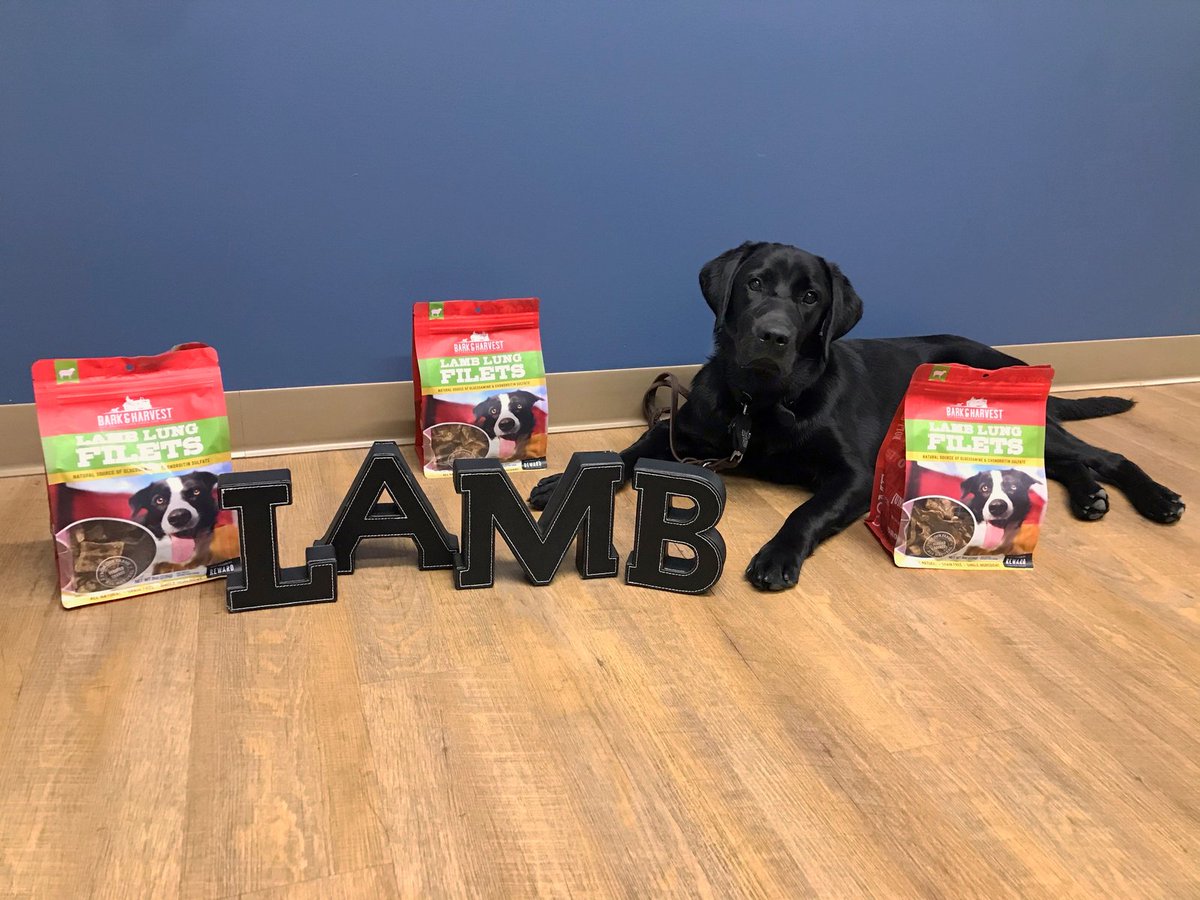 SFPet's tweet photo. Lamb lung treats are a natural source of glucosamine, single ingredient, low calorie, and highly palatable. This awesome #trainingtreat is easily breakable for any size dog! 
Buy a bag for your pup at https://t.co/lQpY9mo3NI https://t.co/0YtWm8oWNk