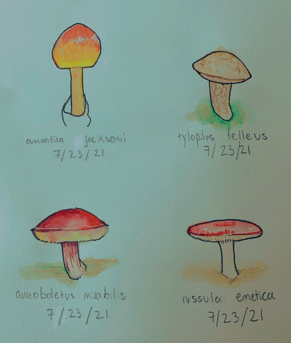 mushrooming 