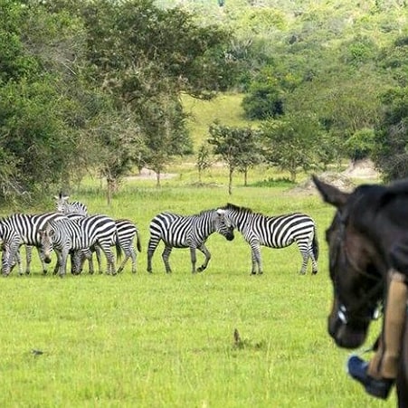 DaSafaris's tweet photo. Nature
#travelnow 
#downdaroadsafaris https://t.co/ga6KiyVvBn