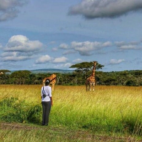DaSafaris's tweet photo. Nature
#travelnow 
#downdaroadsafaris https://t.co/ga6KiyVvBn