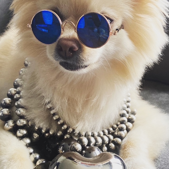 Get the ultimate tell-all on our courses - mailchi.mp/nyjdi.com/our-…