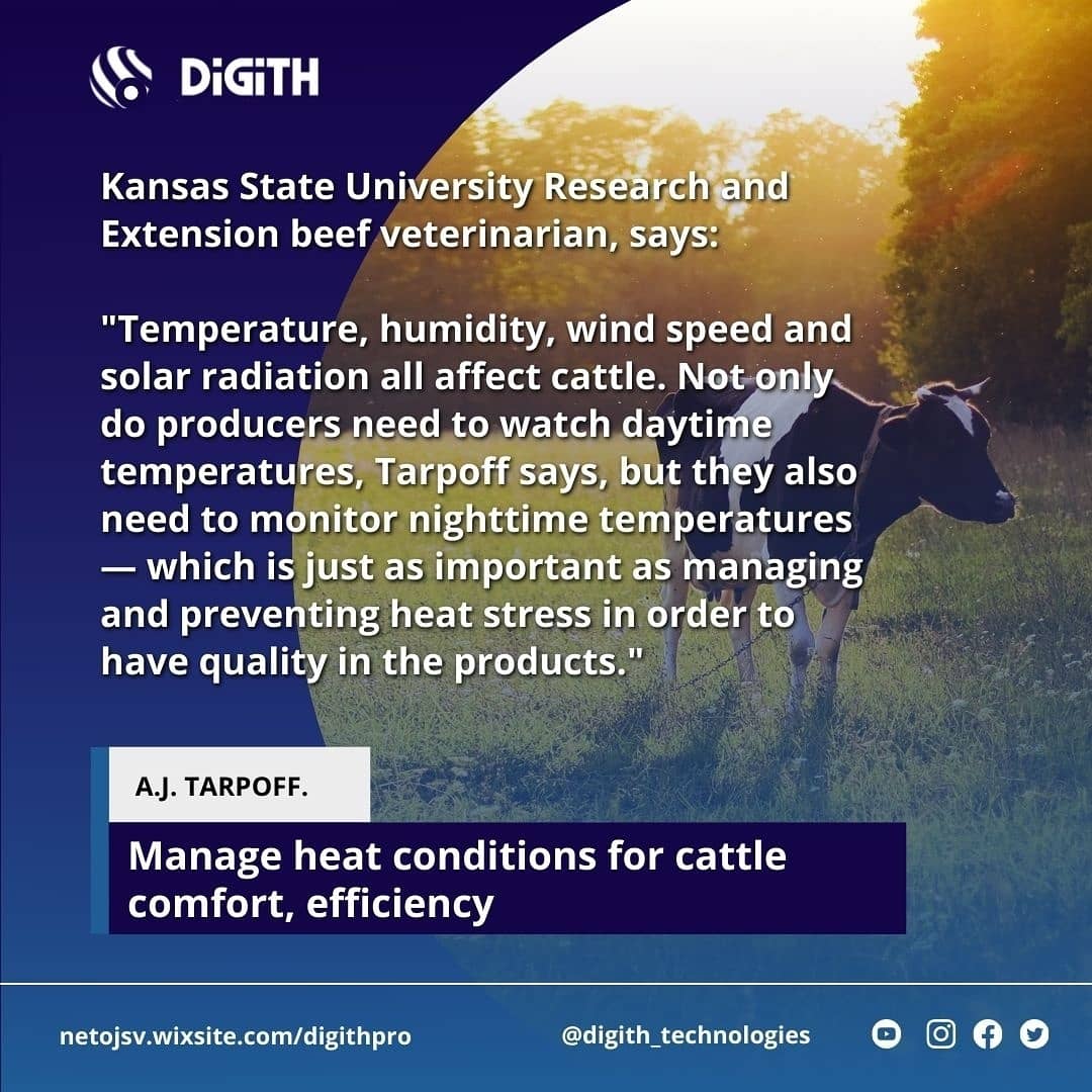 Digith_tech's tweet photo. ¿La comodidad y eficiencia del #ganado, realmente genera una #calidad en productos? 
💯🧐🐮 https://t.co/uNwOYWlswD