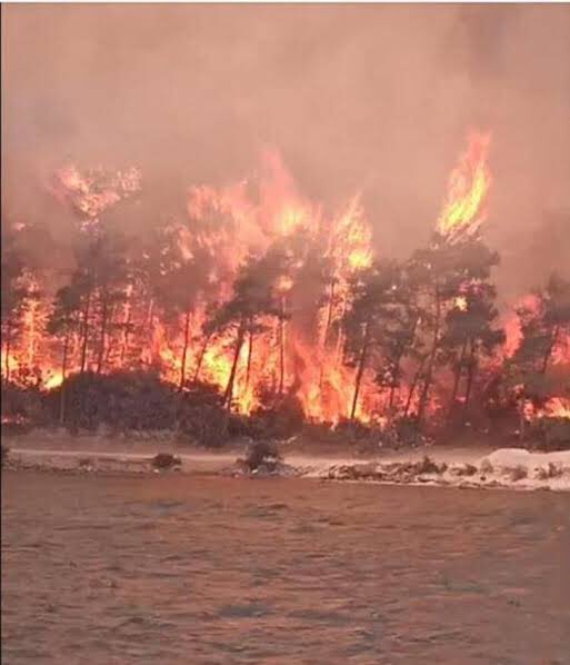 Ciğerlerimiz yanıyor, insanlarımız, hayvanlarımız, ağaçlarımız, tüm canlarımız gidiyor. Yapanların gün yüzü görmemesi, bir an önce tespit edilip cezalandırılması dileğiyle. #CiğerlerimizYanıyor