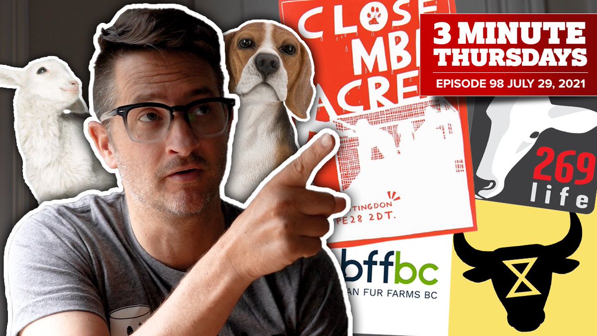 Let’s talk about using dead animals at protests. Why are #vegans outraged when some do it, but applaud others for doing the same?

Also, Camp Beagle is up &amp; running, <a href="/RebelsAnimal/">animal.rising</a> continues on with their McDonalds campaign &amp; <a href="/BanFurFarmsBC/">Ban Fur Farms BC (BFFBC)</a> gets a win!

Bit.ly/3MT_Ep98