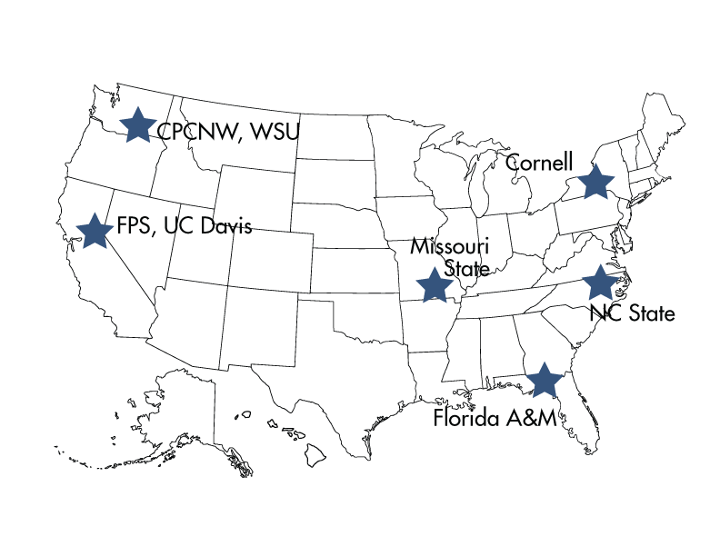 plant_clean's tweet photo. Want to know more about the NCPN-Grapes programs in a specific region and what resources might be available? Visit the NCPN-Grapes web page, https://t.co/m2MrczAdsH

#ncpngrapes #plantclean #virustestedplantmaterial https://t.co/Hua2CpkyAe