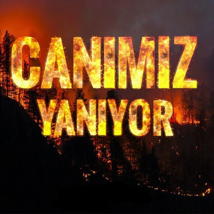 halil tweet media
