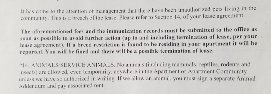 CplLittleFoot's tweet image. Can you identify what is illegal about this notice? This is a letter from a housing provider located in the U.S. #Discrimination #DisabilityVisbility #DisabledRights #HumanRights #DisabilityPrideMonth #Ableism #MakeAbleistsUncomfortable #MedTwitter #LawTwitter #Advocacy #DisCo