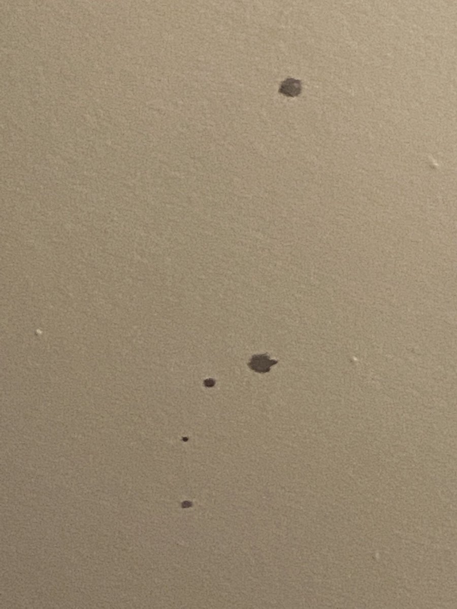 CLoveCoach's tweet photo. @19crimesUK Make that 20 crimes. Dodgy bottle tonight spattered on my newly painted ceiling!!! We couldn’t drink the wine either 😢 https://t.co/T18uh0khMq