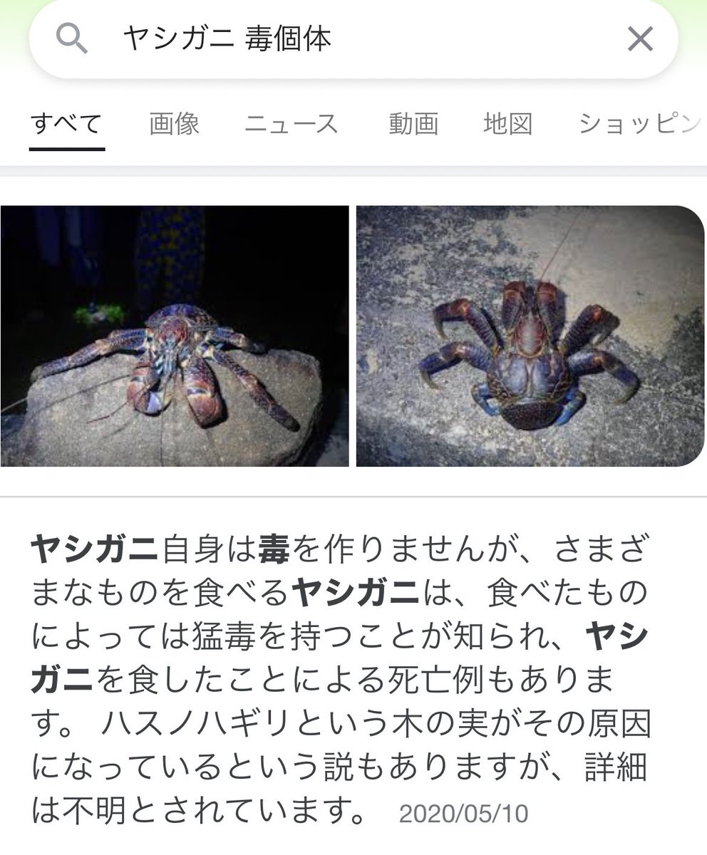 Simo チキンハット Hirohirouno ヤシガニロシアンルーレットしましょう 毒持ちかな W 毒無いかな W Twitter Simo チキンハット Hirohirouno ヤシガニロシアンルーレットしましょう 毒持ちかな W 毒無いかな W Twitter