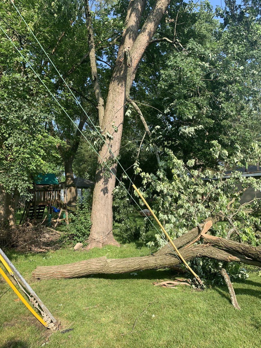 xsteffd's tweet photo. @NWSChicago Storm damage. Top of neighbors tree fell into our yard and got stuck in our tree. 
Rolling Meadows, IL 
@NWSChicago https://t.co/bSuMu9MmLr
