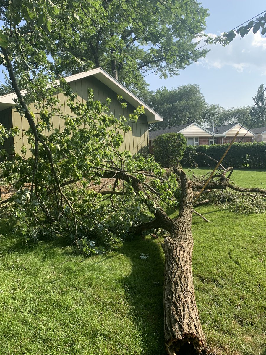 xsteffd's tweet photo. @NWSChicago Storm damage. Top of neighbors tree fell into our yard and got stuck in our tree. 
Rolling Meadows, IL 
@NWSChicago https://t.co/bSuMu9MmLr