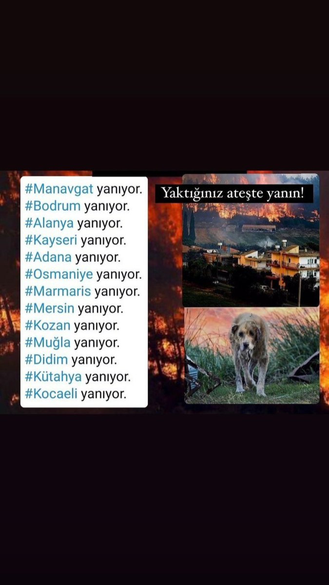 AsanIrem's tweet photo. #TürkiyeYanıyor https://t.co/rfaN14pi7e