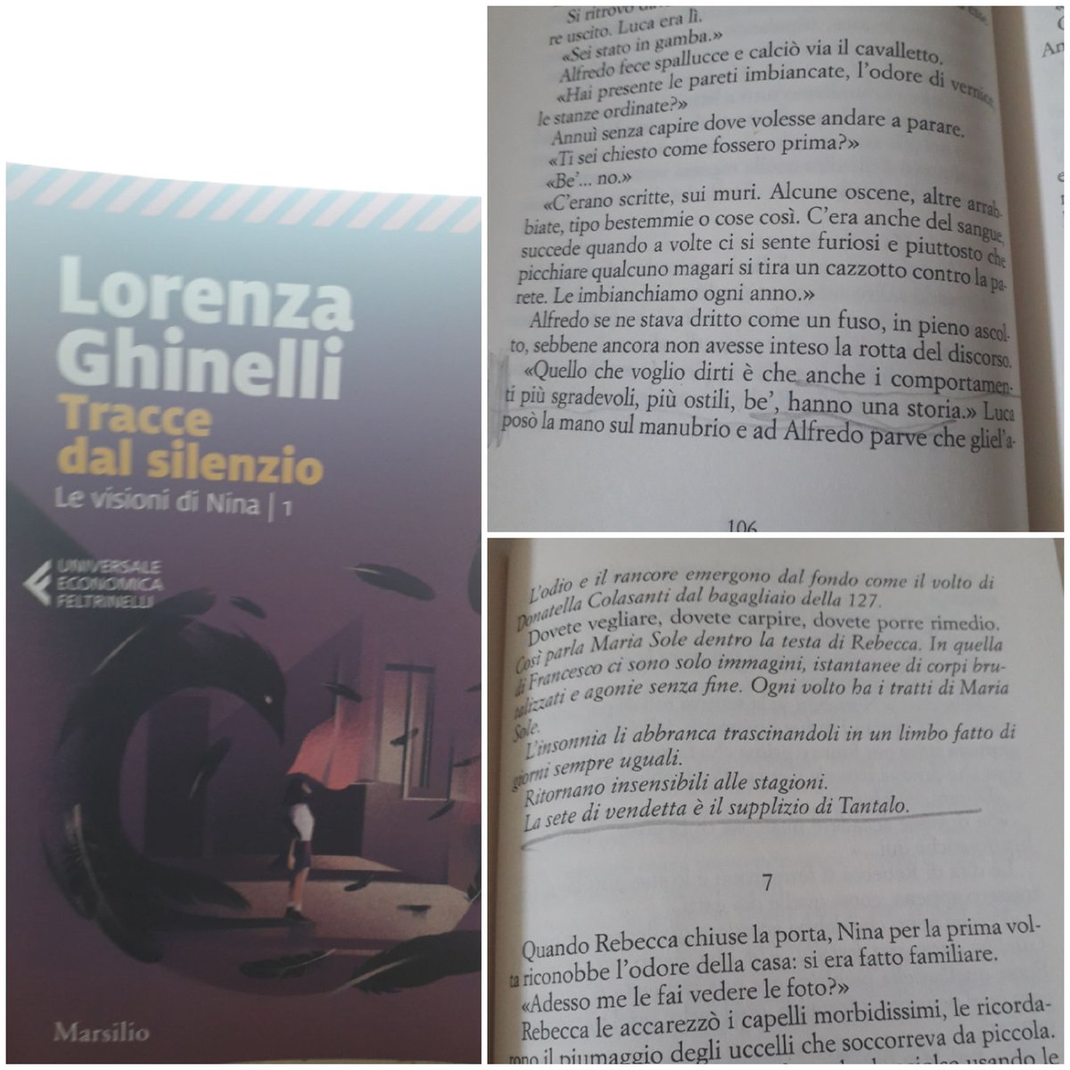 #Readingtime Ancora #indagini avvincenti alla #ricerca della #verità in un crescendo di  #scomparse tra dolori del #passato e miserie del #presente #traccedalsilenzio #levisionidinina #lorenzaghinelli