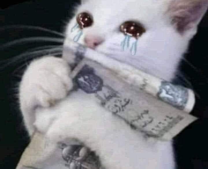 خدو كل فلوسي كلها وطلعوني اصيف .
=