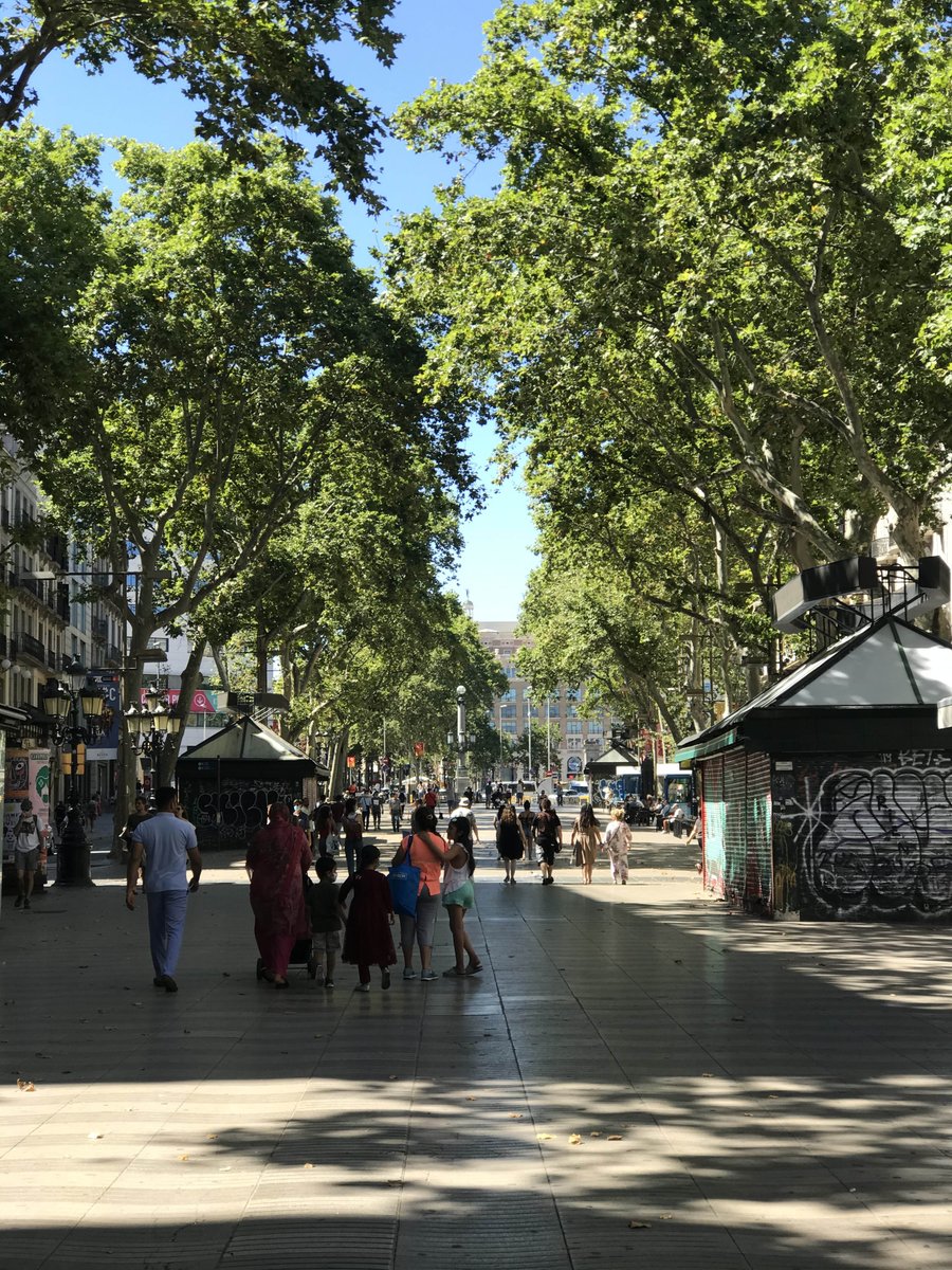 SASBarcelona's tweet photo. La aceptación de Barcelona como sede del Congreso Mundial de la UIA pone el debate en las ciudades. Este #juevesdearquitectura es un buen día para hablar de la relación ciudad/arquitectura y plantear un futuro viable y sostenible."One today, one tomorrow" 
https://t.co/58NLpJzNCa https://t.co/2vCB5wLioW
