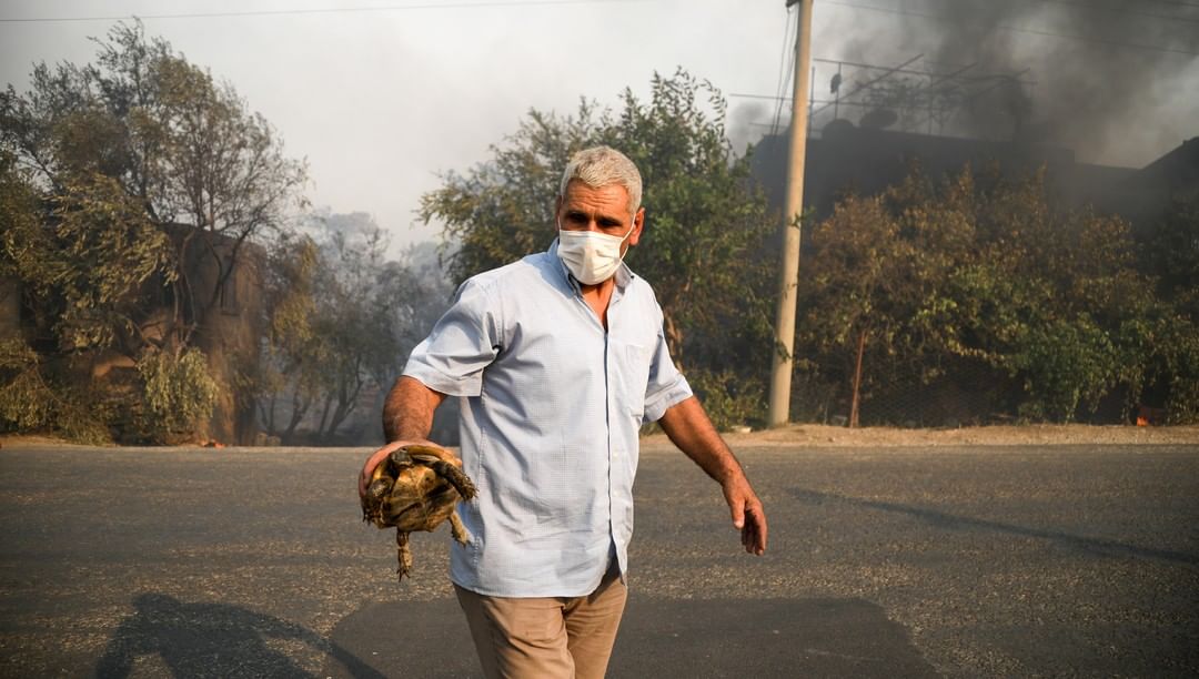 Merhametlisiniz ya en güzel sizsiniz.