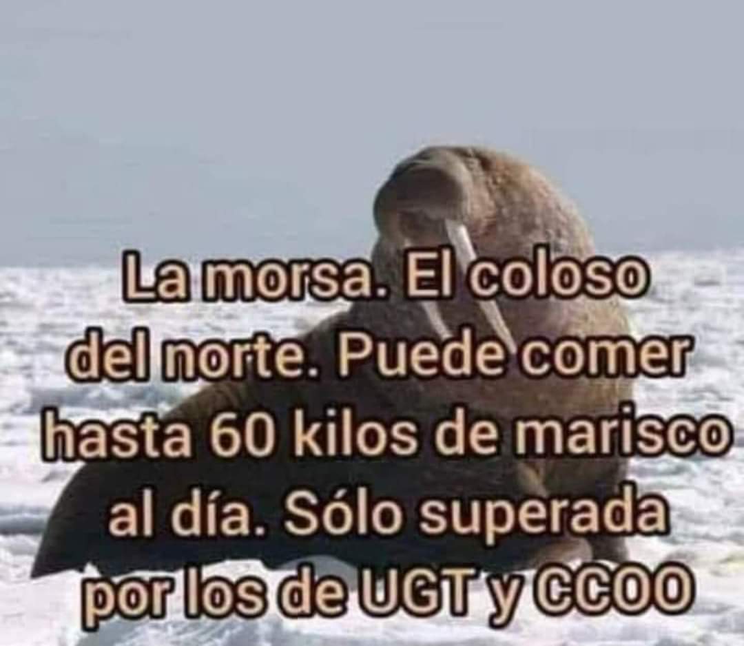 Kemasda23's tweet photo. AHÌ LO DEJO 
Y por supuesto pagando el gobierno con el dinero de los parados...!!!🤔😡 https://t.co/VfDqZNGTCI