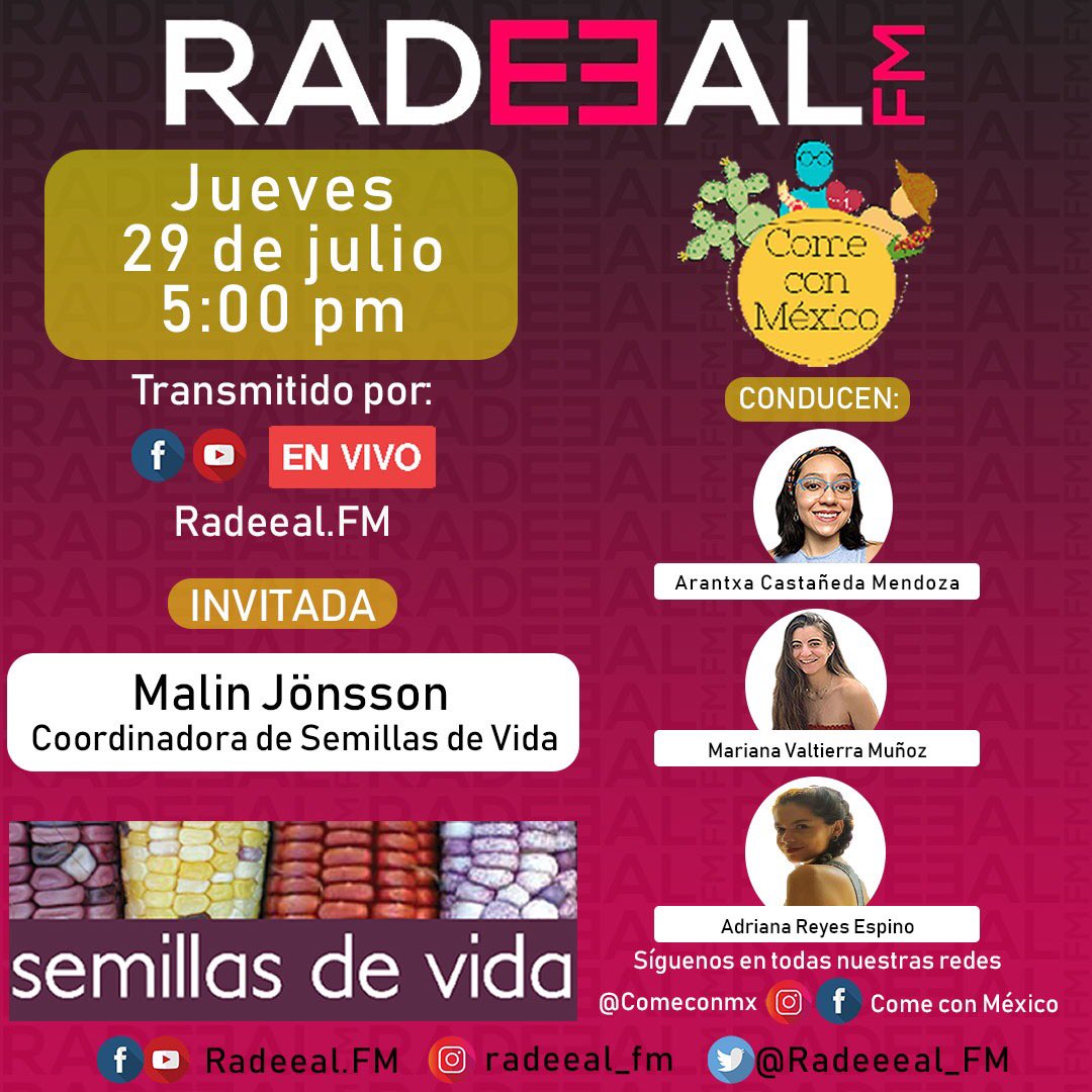 ¡Acompáñanos hoy a la plática con nuestra coordinadora, Malin Jönsson, donde contará sobre el trabajo que hacemos en la defensa de una alimentación sana y del maíz nativo ! 🌽👇🏾
🗓Hoy, 29 de julio 
⏰5 hrs 
💻<a href="/Radeeal_FM/">Radeeal.FM</a>