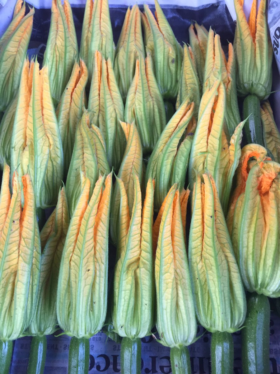 All lined up and ready to go! #jersey #organic #courgette #flowers <a href="/sproutsfarmclub/">Sprouts Farm Club Jersey</a> @thegrumpygreengrocer