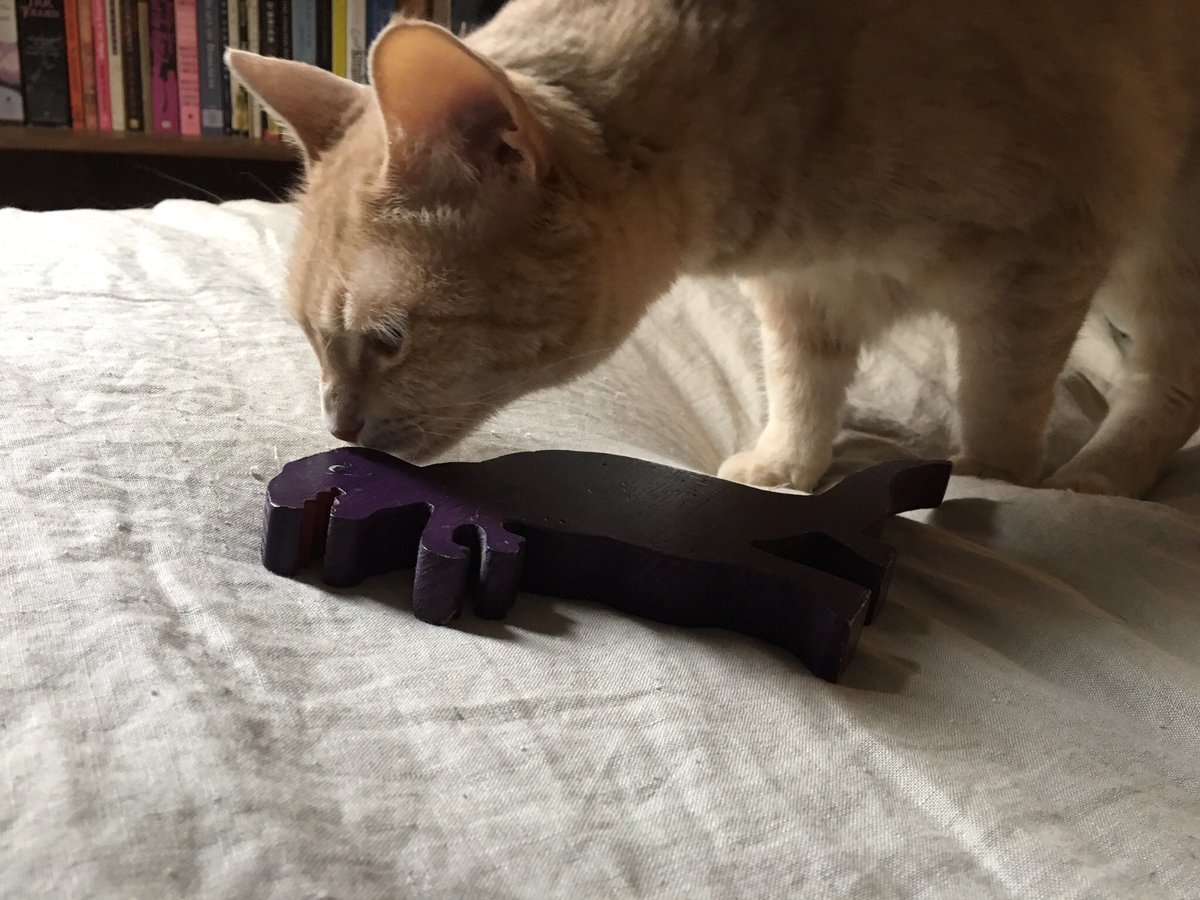 StevenRayMorris's tweet image. using only pictures of your pet(s) where are you mentally

Also this is probably the time I should tell Twitter I made an Instagram for Penny Lane: instagram.com/divacheetah/