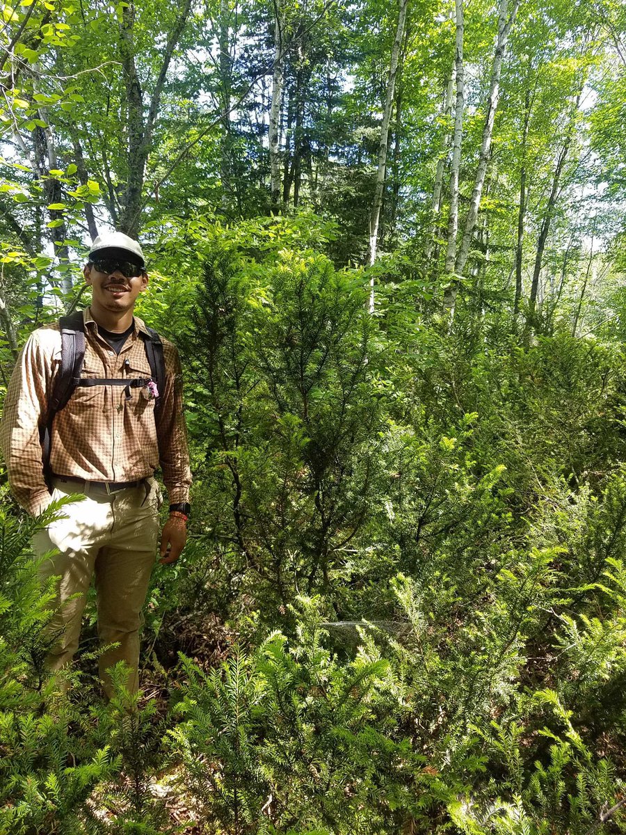 Adrian Bethel tweet media