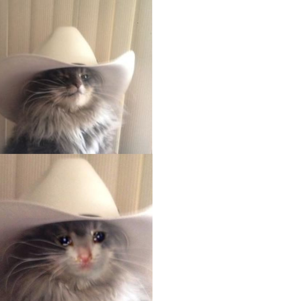 Invest in original and crying cowboy catpic.twitter.com/E9cexjueay. 