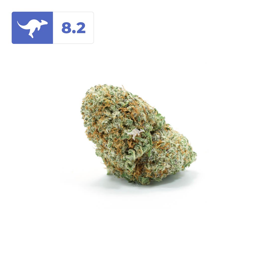 canngaroo's tweet image. Orange Cookies | #orangecookies⠀
• ⠀⠀⠀⠀⠀⠀⠀⠀⠀⠀
Orange Cookies has a strong tangy, citrus, and sweet profile that will have you feeling happy, relaxed, cerebral, and euphoric.
• ⠀⠀⠀⠀
Review strains and products on Canngaroo and earn rewards!⠀⠀⠀
• ⠀