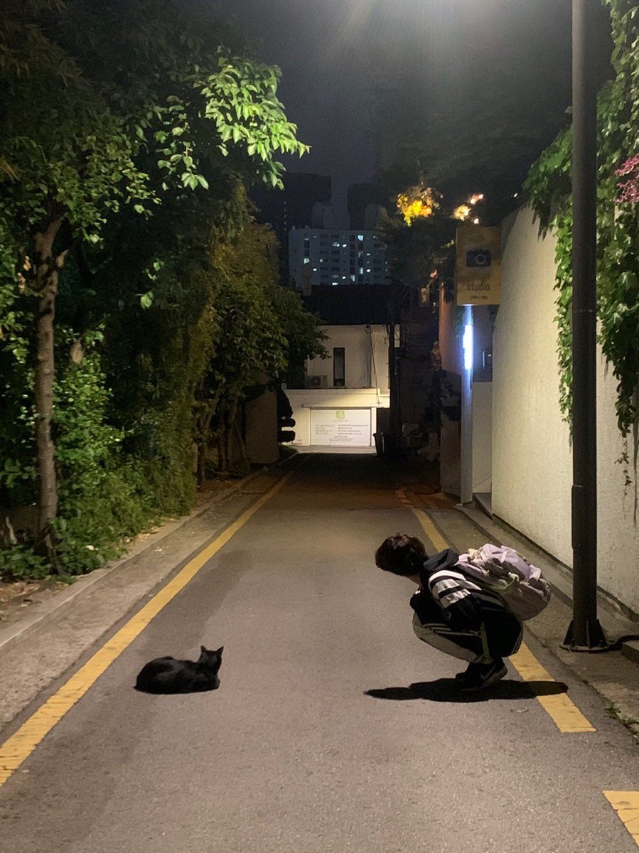 everytime I see a cat
