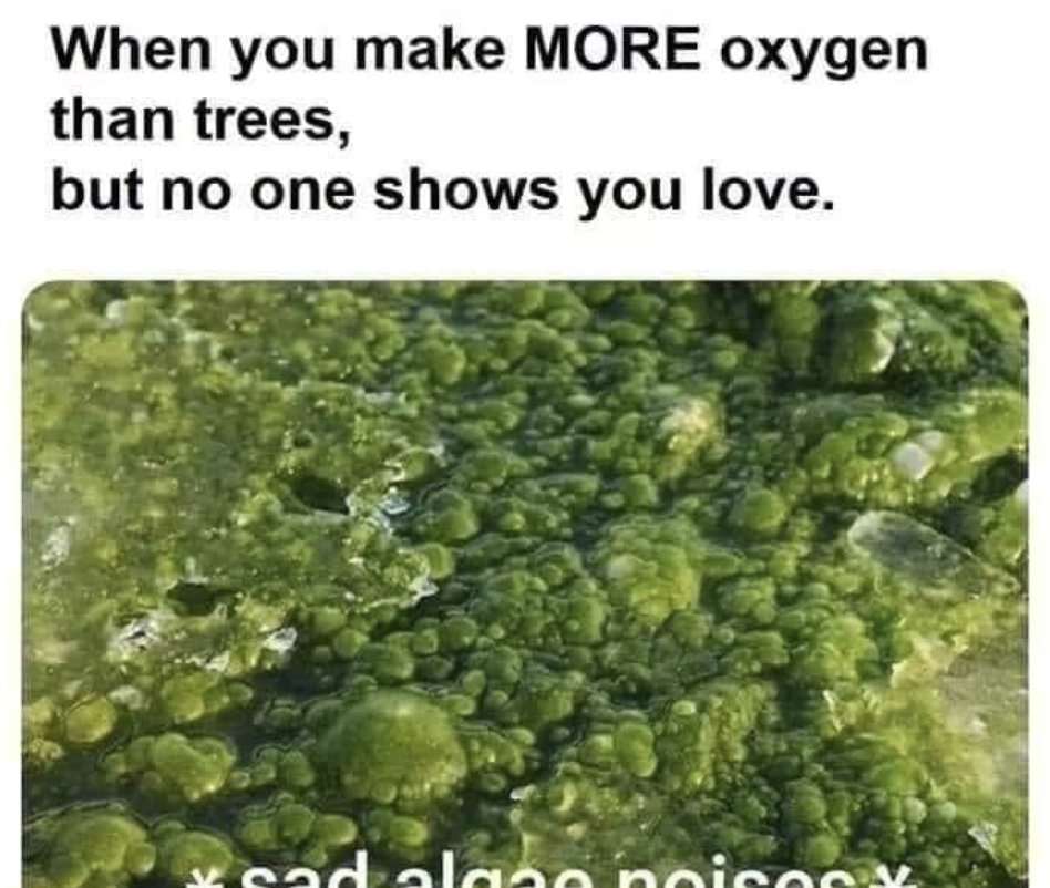 Image of this social media content