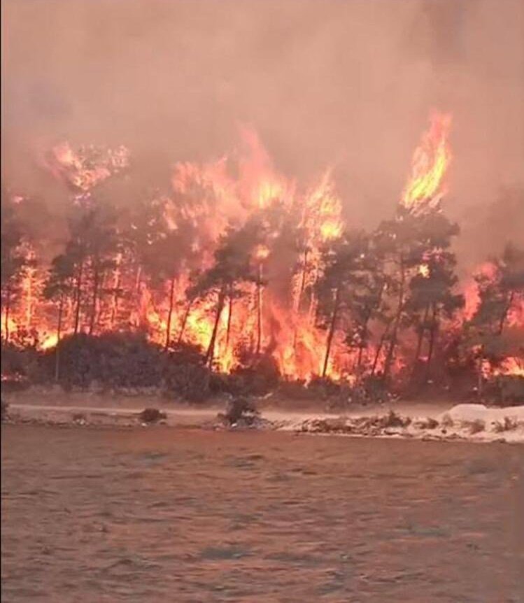 1 kişiye 8 özel uçak
83 milyon kişiye 3 uçak
Biz zaten yanmışız..
#TürkiyeYanıyor