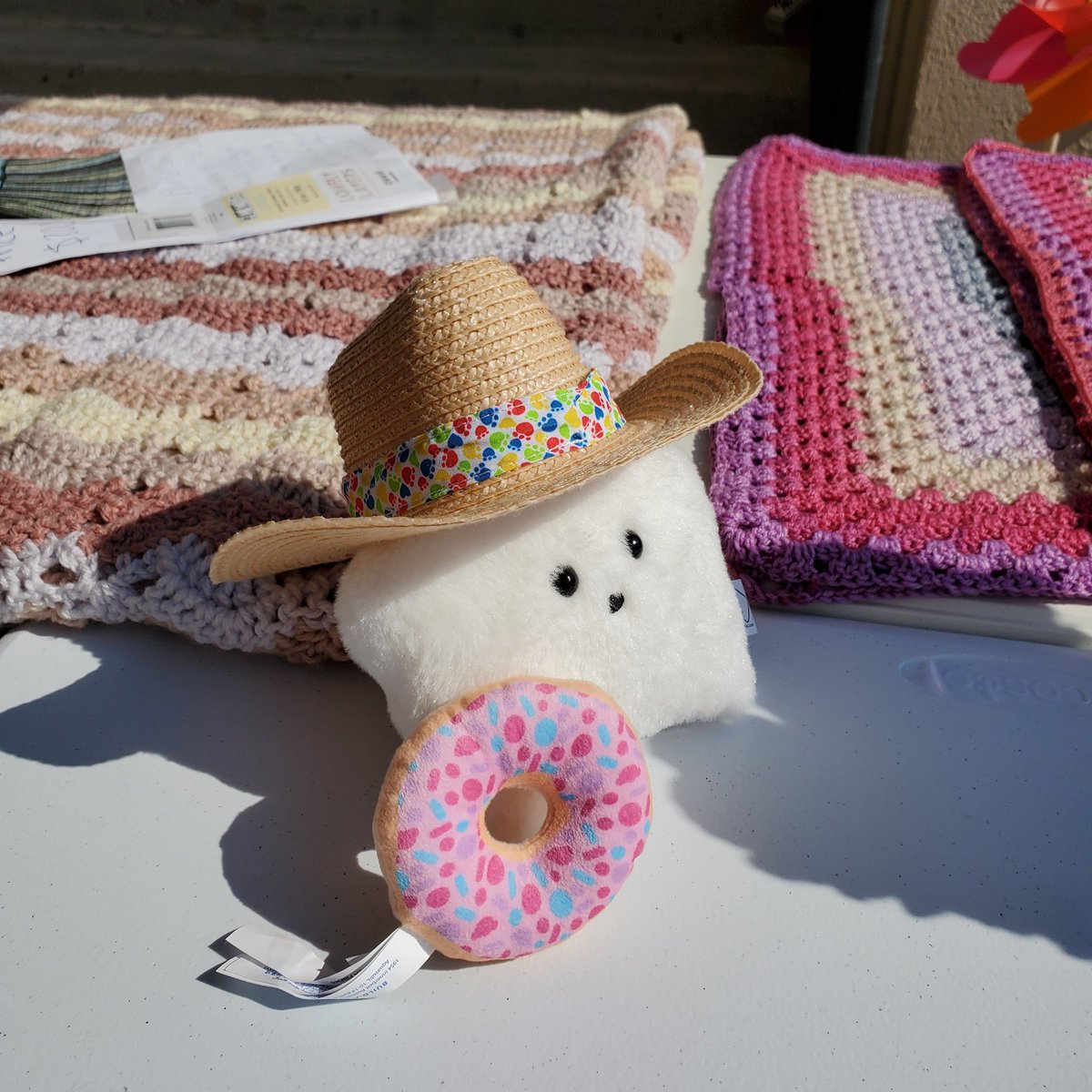 sucklet7's tweet photo. last week i helped my human's sister run a booth at a craft fair. i was a model and i climbed on the display too. it was very fun.
#sucklet #craftlet #doughnuts https://t.co/mWdVws4EcV