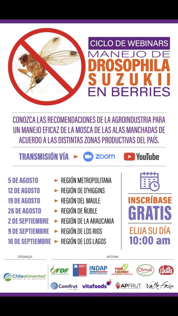 Drosu_Chile's tweet image. Interesante ciclo de charlas gratuitas organizadas por @Chilealimentos todos los jueves durante agosto y septiembre. 
#drosophilasuzukii #plaga #mosca #drosu #insects #controldeplaga #Webinar