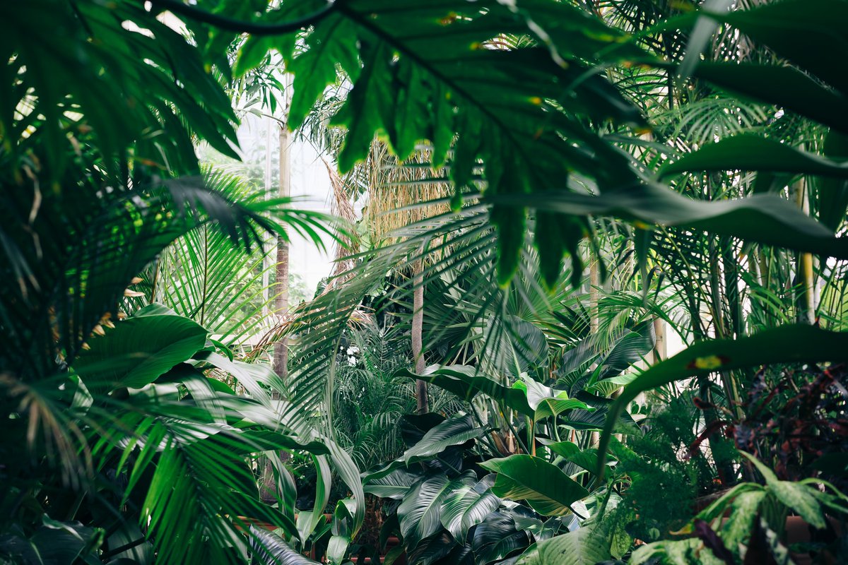 BizzyNetworking's tweet photo. Business networking is a jungle - don’t get lost!

We're here to help small business owners find their way.

Free, friendly and informal networking.

#earlybiz #smallbusinessnetworking https://t.co/koBke22WqG