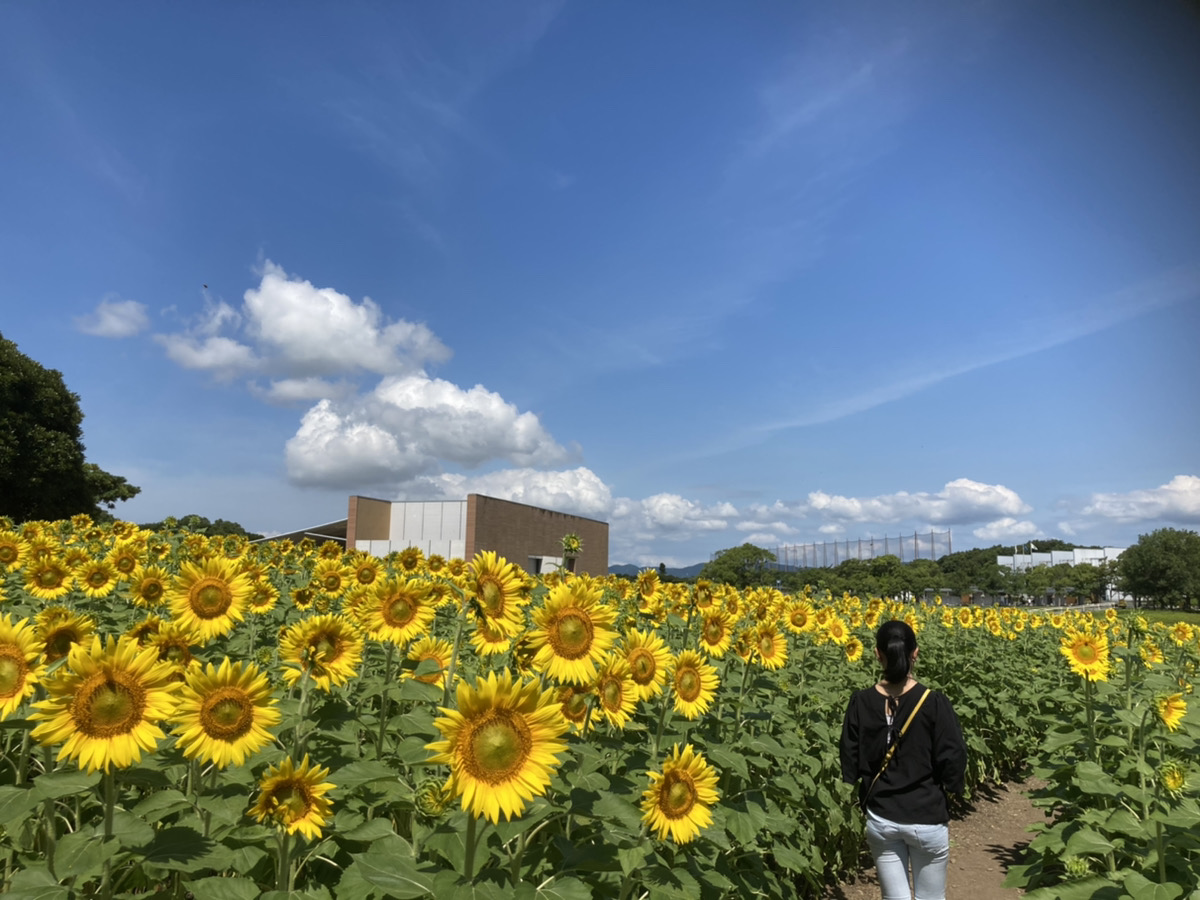 子供とおでかけ Twitter Search Twitter