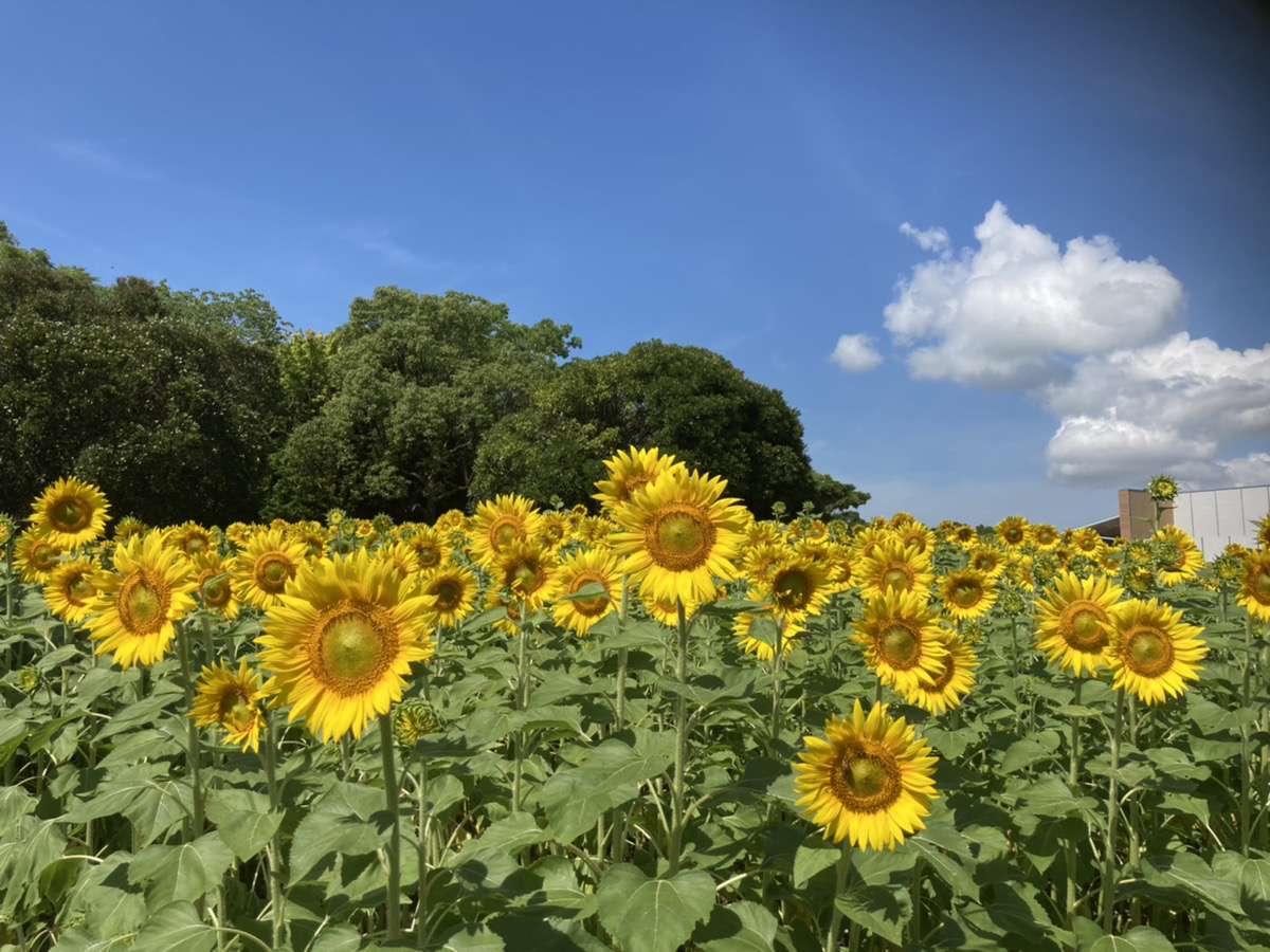 子供とおでかけ Twitter Search Twitter