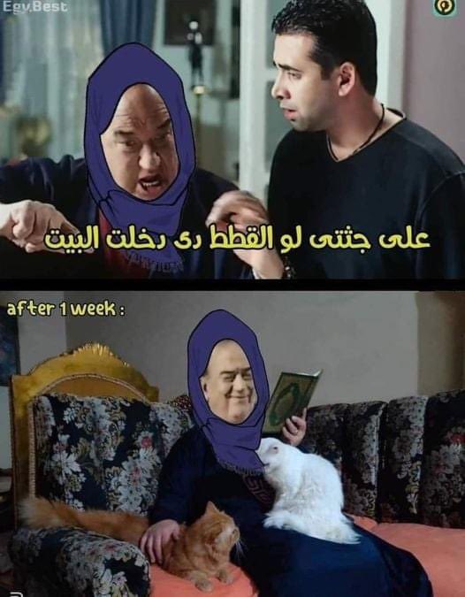 josaher's tweet photo. https://t.co/HwTpzZdKO8