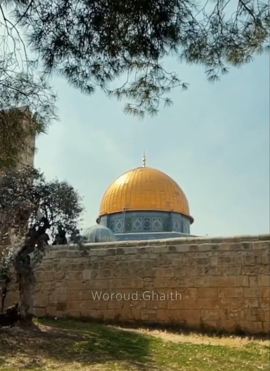 جمال القدس يذهب الحزن 
ويحيي الهمم ويطرد الوهن
ما أروعك يا أقدس وطن