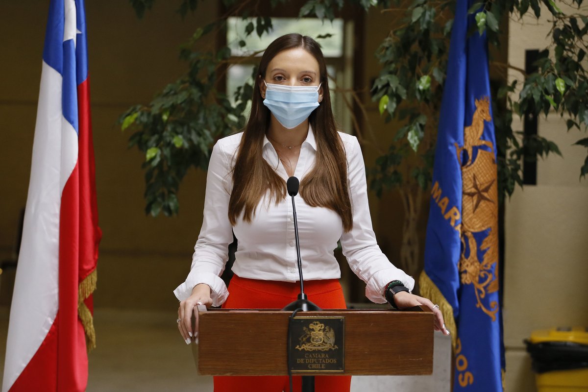 Diputados RN tweet media