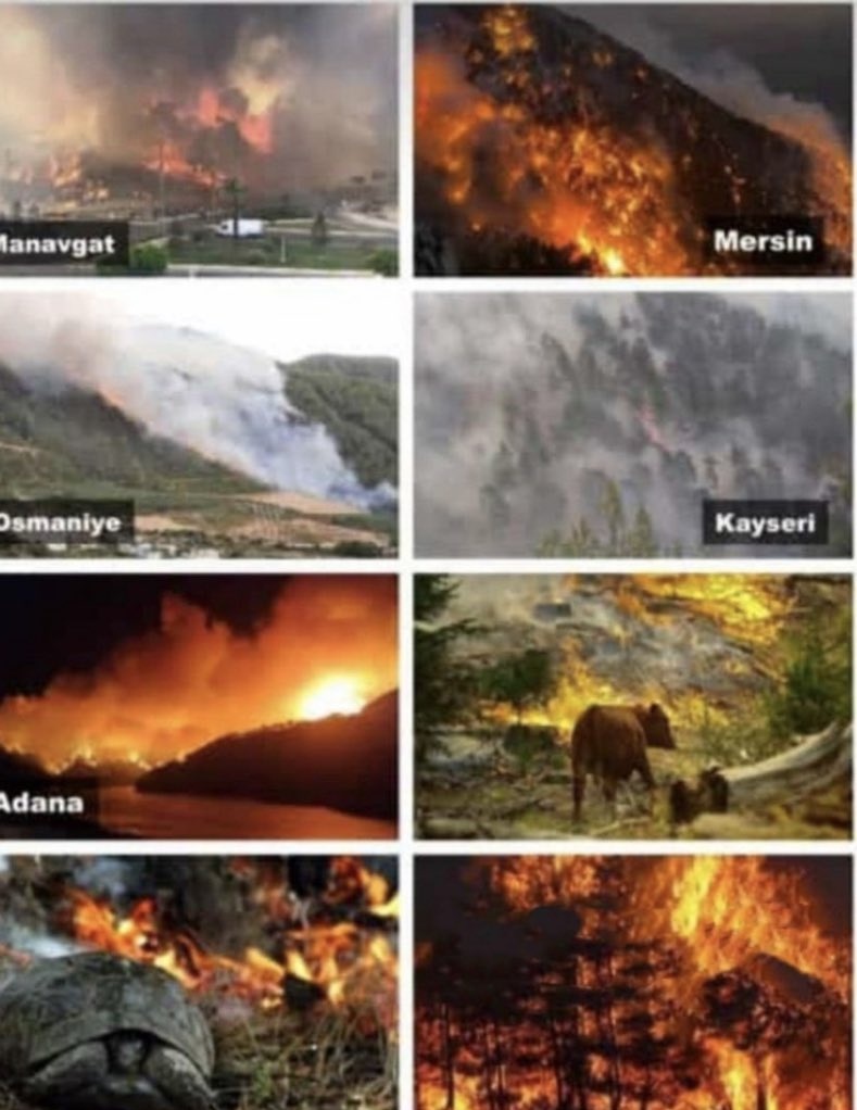 muhendisyenn's tweet photo. Türkiye'de orman yangını çıkarmak için plan yapan Suriye uyruklu 2 kardeş; MİT, emniyet ve jandarma ekiplerinin operasyonuyla yakalandı. Söz konusu kardeşlerin ayrıca PKK Terör Örgütü üyesi olduğu açıklandı.

#TürkiyeYanıyor https://t.co/TVIYI4H7tK
