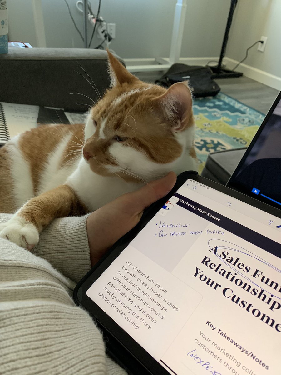 JasonRaaschMD's tweet photo. @PauletteSteeves Sometimes Big Sal has the same idea. These furry creatures often know what we need.  ;) https://t.co/6YVSUK5pff