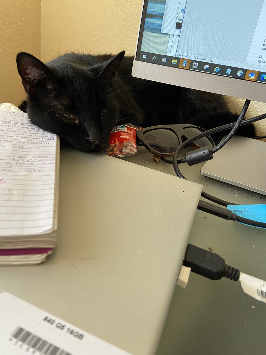 Portlandrea's tweet image. using only pictures of your pet(s) where are you mentally