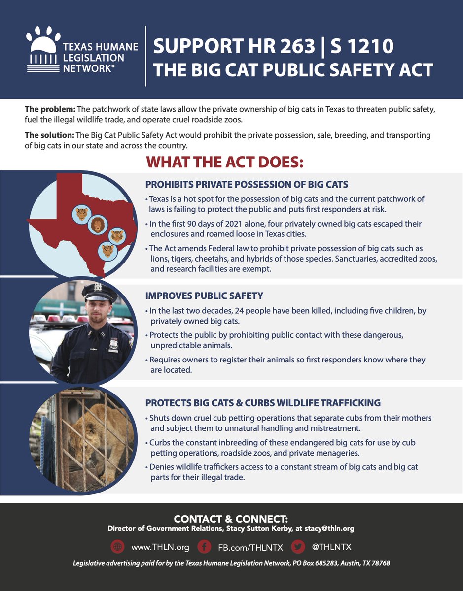 THLNTX's tweet photo. LEGISLATION UPDATE: The Big Cat Public Safety Act was introduced again this year during the 117th Congress. #HR263 and #S1210 aims to prohibit the private possession, sale, breeding, and transporting of big cats in our state and across the country. https://t.co/JT0QK5qhpP