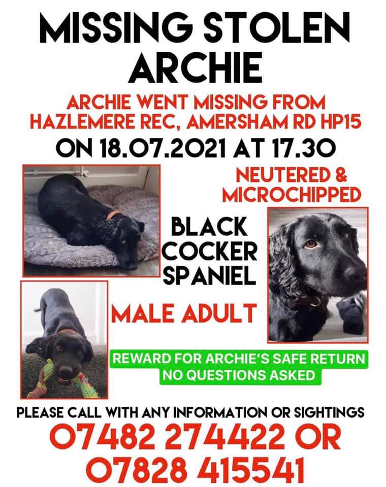 The_Animal_Team's tweet photo. #Archie went #missing on 18/7/21 from #Hazlemere Recreation Ground #AmershamRoad #HighWycombe #HP15 area. Black #CockerSpaniel neutered &amp; chipped. Any info or sightings please contact number on poster. https://t.co/H49Dp3RADo #dogs #dogsoftwitter #MissingDog #MissingSpaniel https://t.co/b3PHSiWuqX