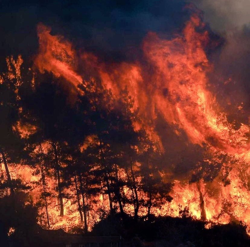 What is happening on Turkey⁉️

tw // fire

There are huge fires in the South sides of Turkey! On 17 cities, 58 places (and counting) are on fire right now. They got on fire at the same time from different spots so we do not believe that those fires are natural or coincidence.