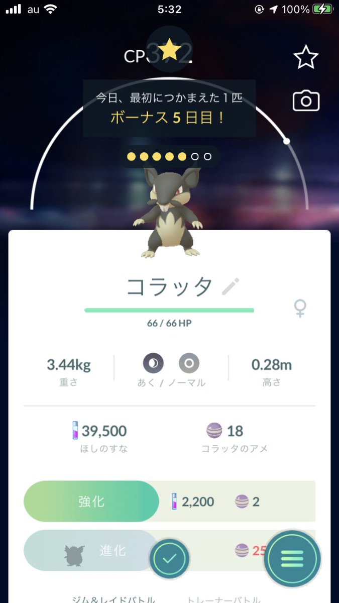 ポケモンgo コラッタの色違い 入手方法と実装状況 攻略大百科 ポケモンgo コラッタの色違い 入手方法と実装状況 攻略大百科
