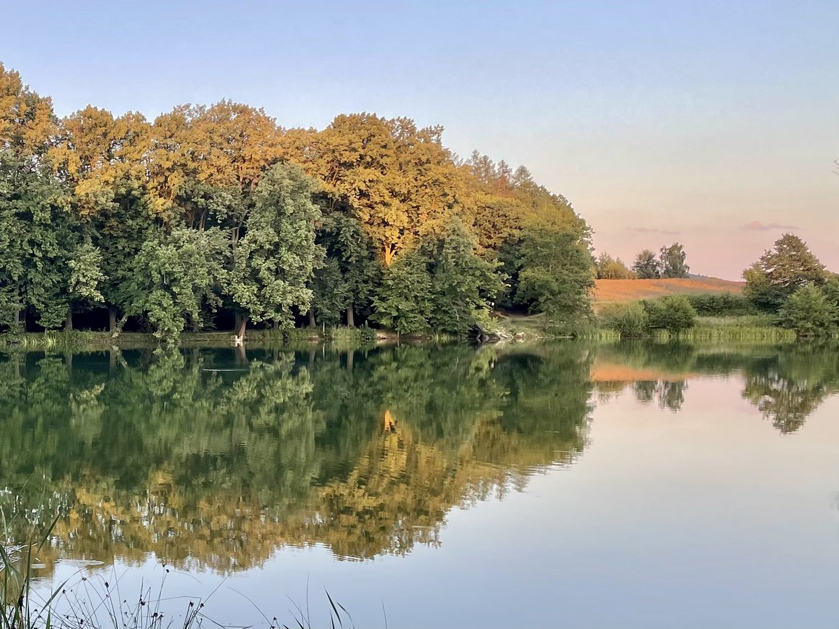 Miradce's tweet photo. Do 24l batohu jsem dostal spacák, karimatku, stan, pláštěnku, kalhoty, mikinu, vařič, hrnek, litr vody, ručník, trochu jídla. #ultralight #backpcking https://t.co/Aq6S08jDpy