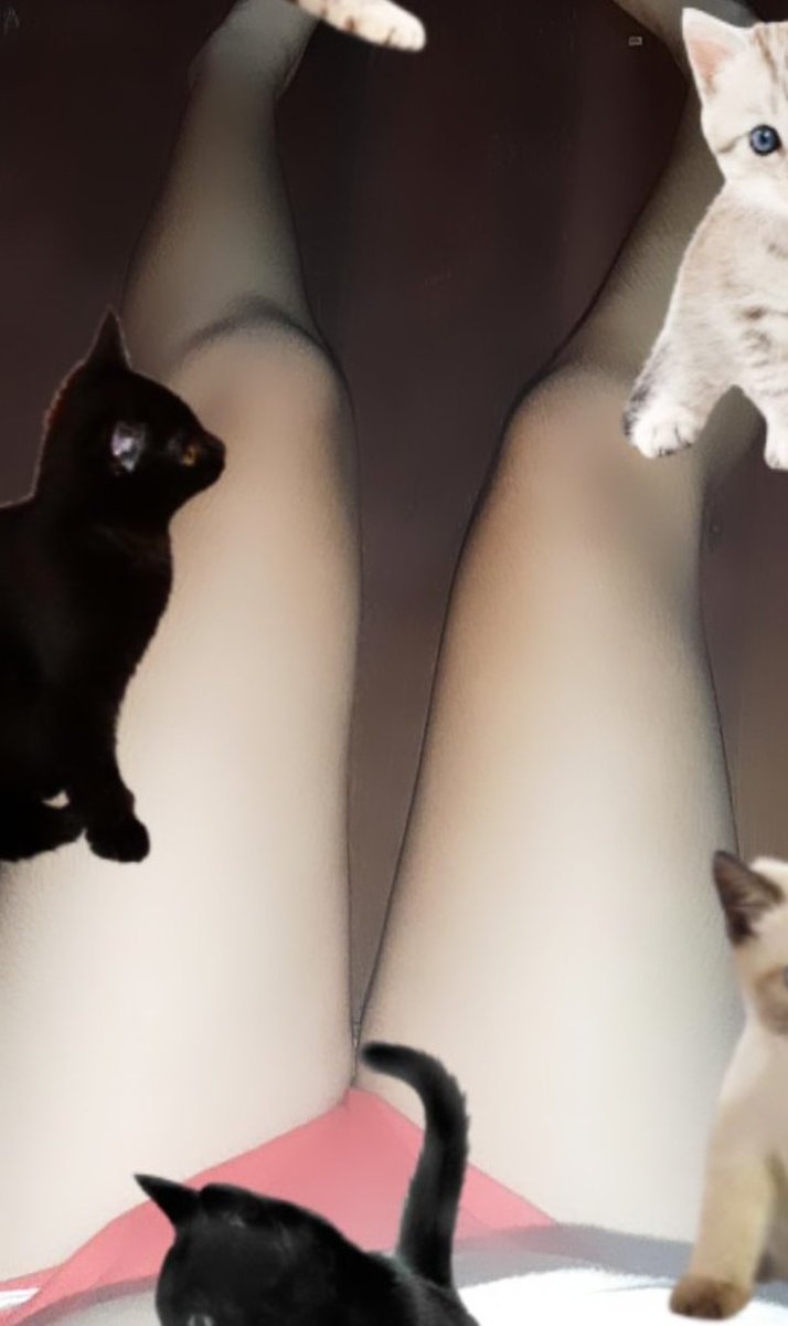 ice03174151's tweet photo. Meow meow ปวดขาจัง~~
#เงี่ยน #ยืมเมจforเงี่ยน #ยืมเมจforsex https://t.co/FAAdZcuBr4